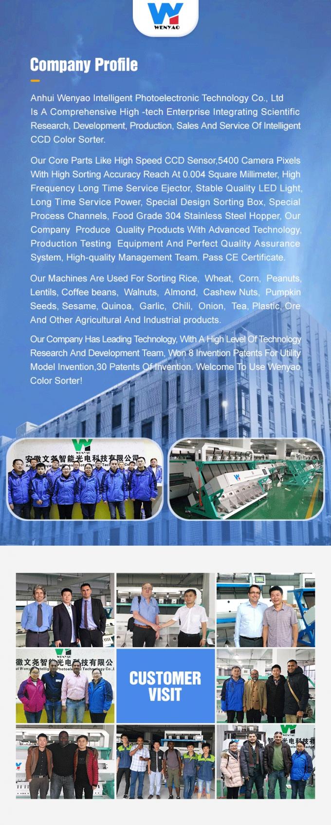 Wenyao Automatische Farbsortiermaschine für frische Blaubeeren und Wacholderbeeren 13