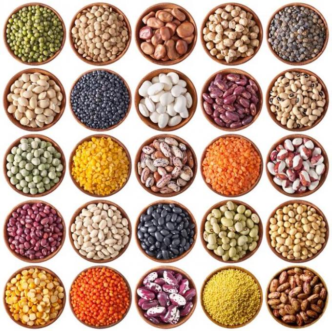 Wenyao Automatische Schwarzpfeffer-Farbsortiermaschine für hochpräzise Saatgut- und Bohnensortierung 8