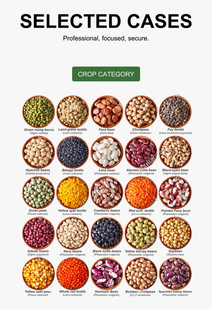 WENYAO Hochgeschwindigkeitssortierungsparameter für Getreidesortierungsleitungen 8