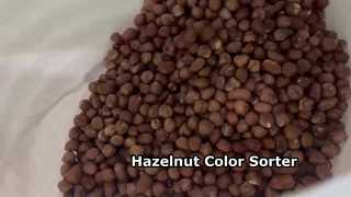 WYCS2-128 Haselnuss-Farbsortierer | Premium-Nusssortiermaschine für den georgischen Markt