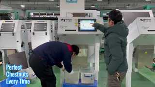 Kastanienfarben-Sortierer